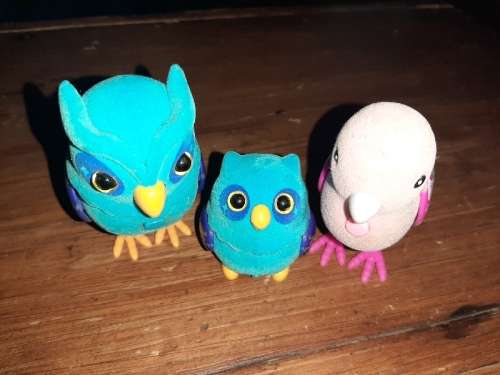 Little Live Pets - Owl & bird