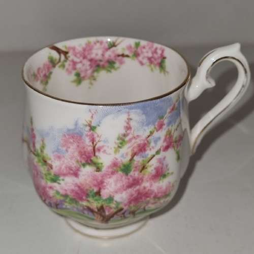 Royal Albert Small Cup - Blossom Time - Beautiful!!!