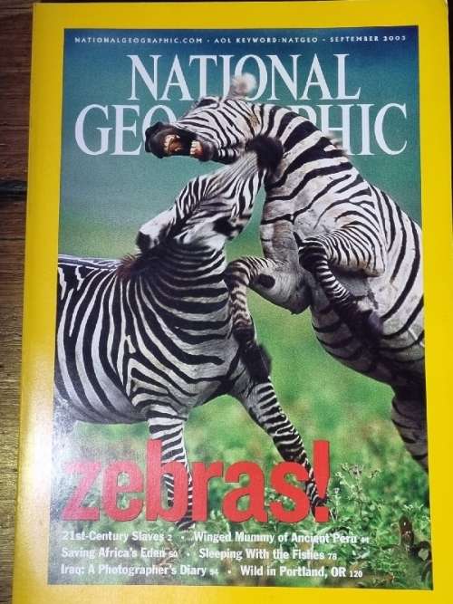 National Geographic September 2003 - Zebras