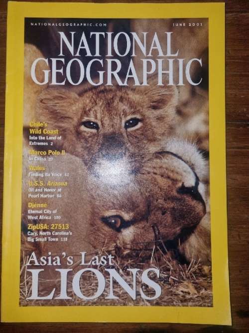 National Geographic June 2001 - Asia's Last Lions
