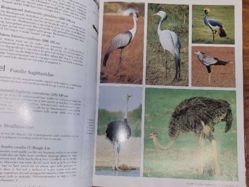 Suider-Afrikaanse Voels - `n Fotografiese Gids - Ian Sinclair