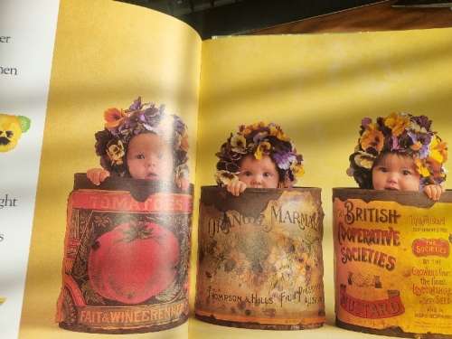 Anne Geddes - Down in the Garden - Large Book