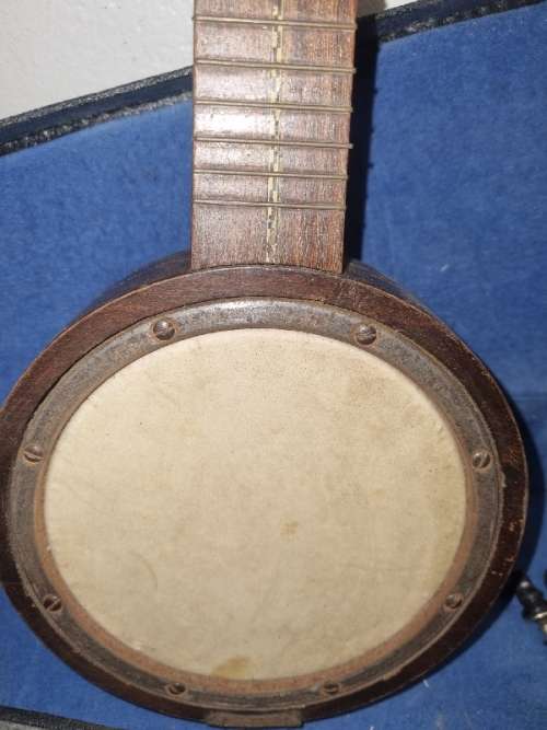Banjo in case - for parts or restoration - see pictures