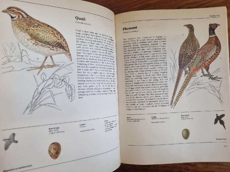 The Illustrated Book of Birds - More than 800 illustrations