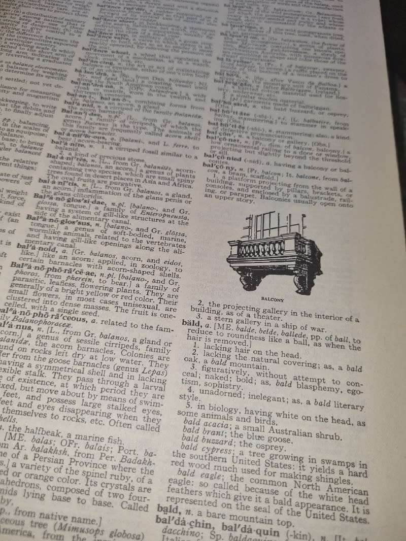 Vintage Webster`s Dictionary - Complete set of 2 Books - Large, Heavy Books