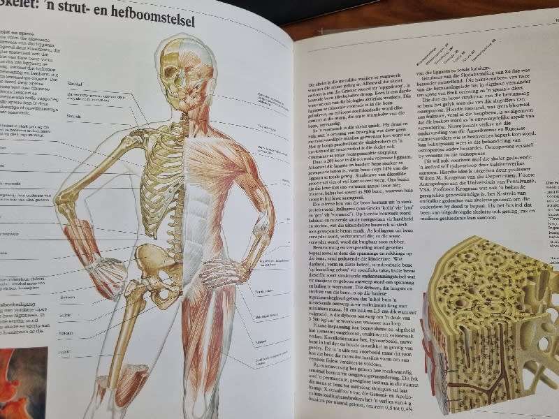 Die Menslike Masjien - Jou gesondheid in perspektief - Christiaan Barnard