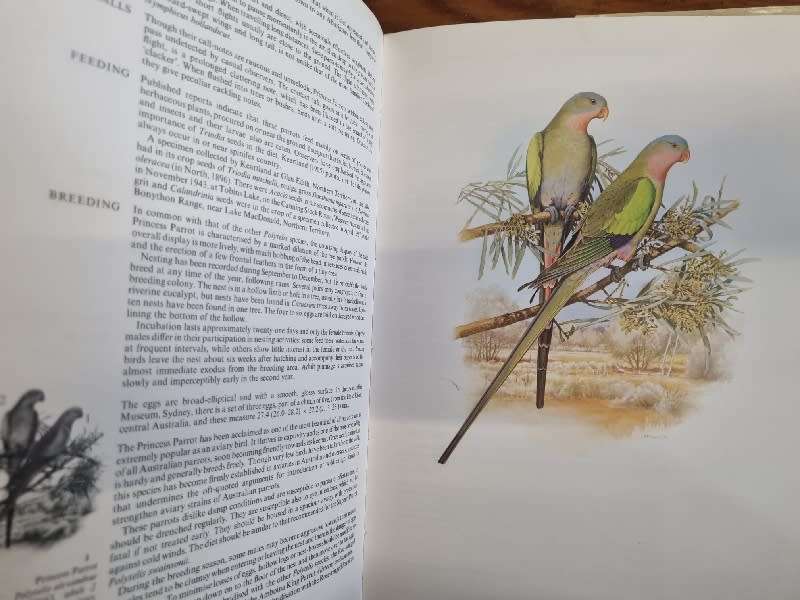 Australian Parrots - Joseph M Forshaw - Large Heavy book