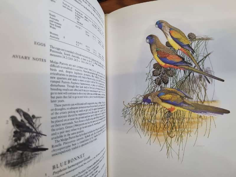 Australian Parrots - Joseph M Forshaw - Large Heavy book
