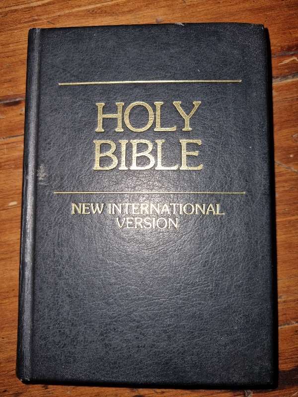 Holy Bible - New International Version - 16cm x 11cm