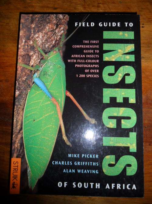 Field Guide to Insects of South Africa - Beautiful book - As New