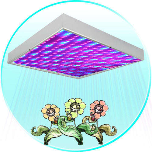 LED Grow Light with Super Harvest Colors (NASA Red and Blue) - G33
