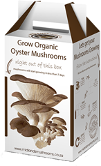 Grow Organic Oyster Mushrooms at Home