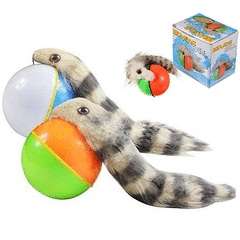 Beaver ball - great fun for every one - great in a bucket of water