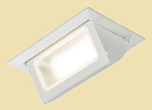 30W Ceiling recessed adjustable shoplight/stagelight