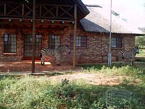 Marloth Park Consortium