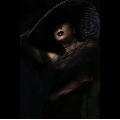 Falcon Eyes 56cm Beauty Dish (Interchangeable Mount) with Elinchrom Mount.