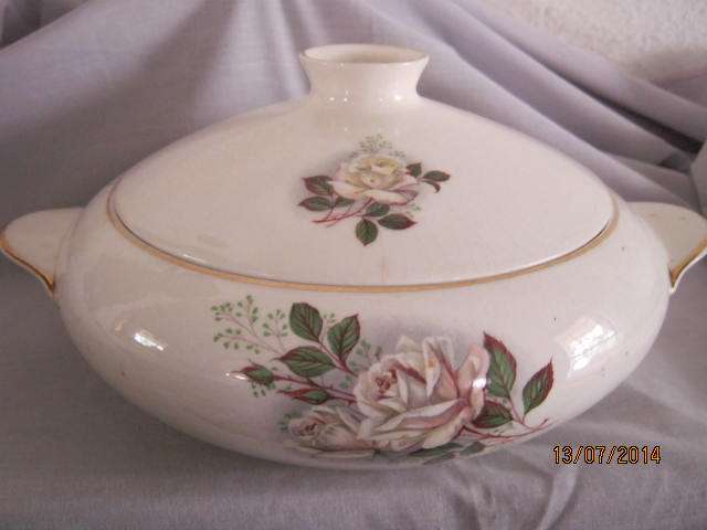 Serving Biowl with Lid