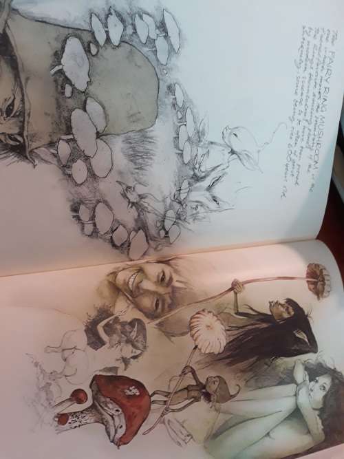 Faries - Described and Illustrated by Brain Froud and Alan Lee