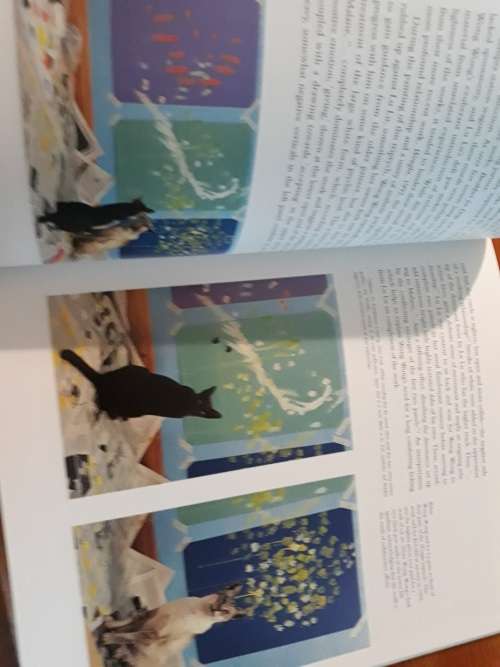 Why Cats Paint - A Theory of Feline Aesthetics - Heather Busch, Burton Silver