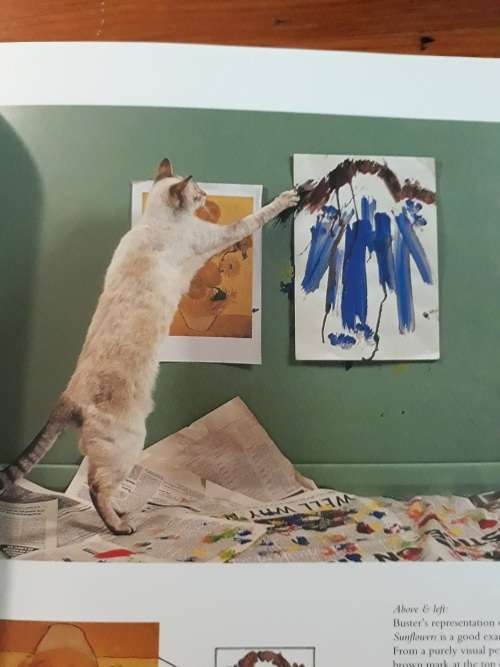 Why Cats Paint - A Theory of Feline Aesthetics - Heather Busch, Burton Silver