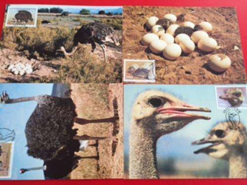 South African SWA and Homeland Stamps - mixed lot