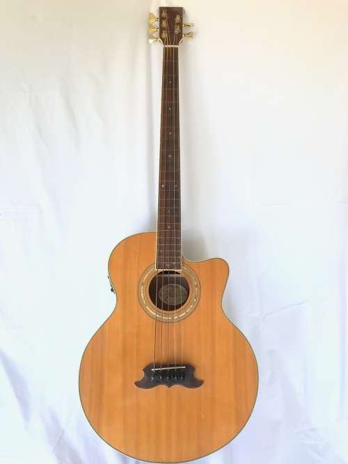 ***RARE*** 5-string, Acoustic / Active, Fretless! Bass! Guitar!!