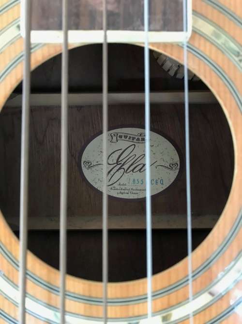 ***RARE*** 5-string, Acoustic / Active, Fretless! Bass! Guitar!!