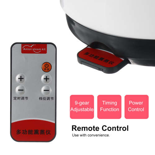 Portable Fumigator Sauna Steam 1000W 110/220V Bath Generator Machine Adjustable 9-Gear 2.6L(CN PLUG)