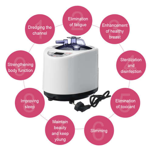 Portable Fumigator Sauna Steam 1000W 110/220V Bath Generator Machine Adjustable 9-Gear 2.6L(CN PLUG)