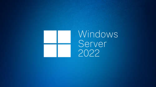 Windows Server 2022 Standard (Online activation)