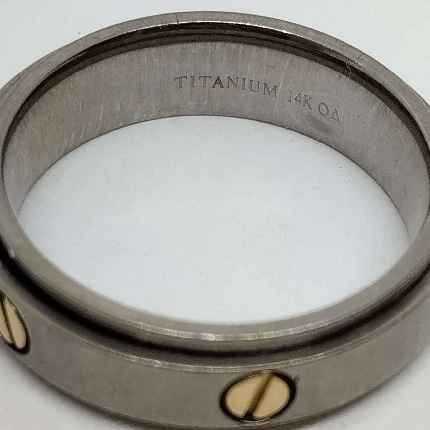 Titanium Mens Spinner Ring #F0051