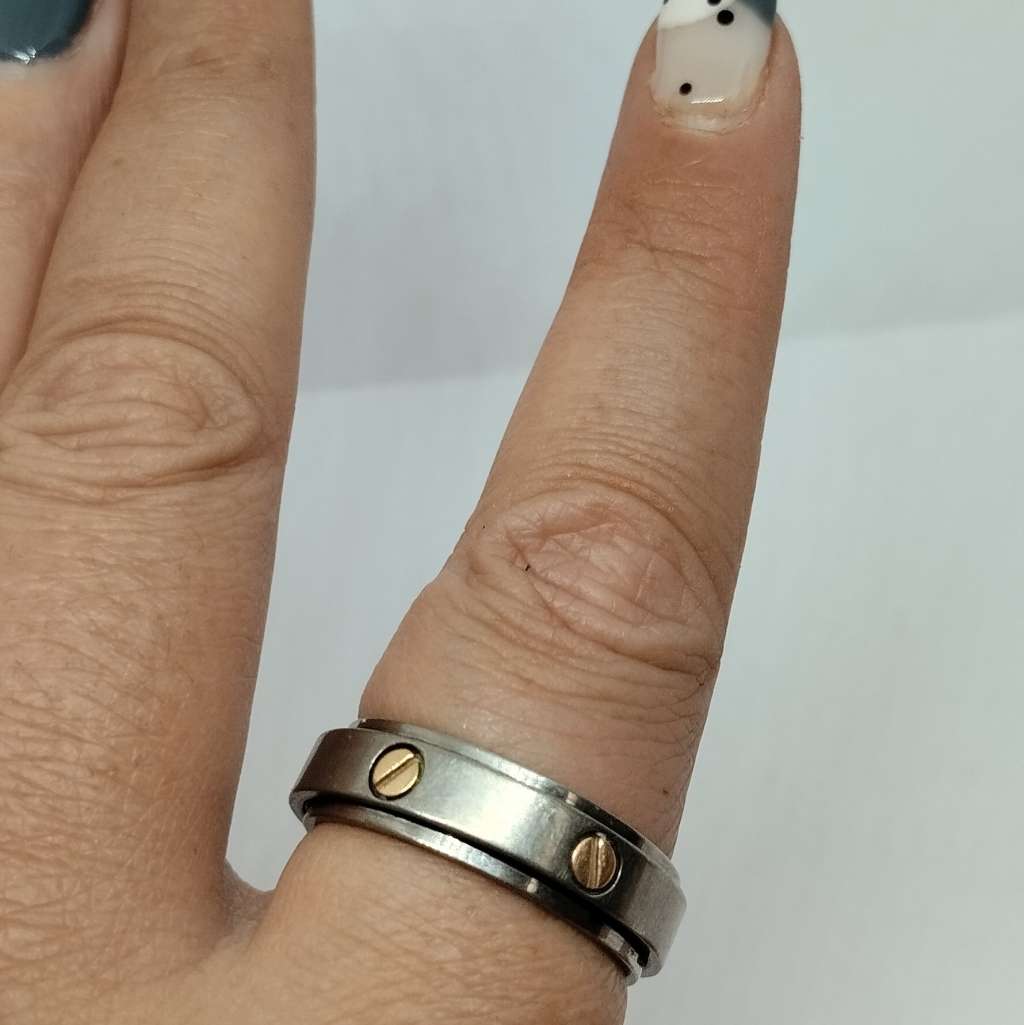 Titanium Mens Spinner Ring #F0051