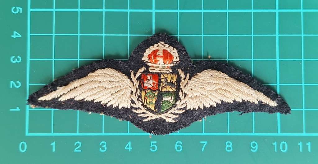 SAAF WW2 Pilot Wing