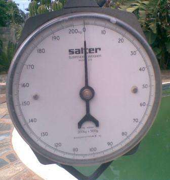 VINTAGE SALTER  SCALE  0-200 KG  (SUSPENDED  WEIGHER)