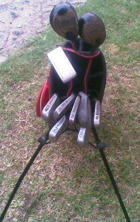 SET OF ASSORTED 7x GOLF CLUBS+ 2 WOODS + PUTTER & BAG