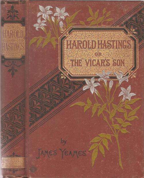The Vicar`s Son  By: Harold Hastings ***Scarce Copy***