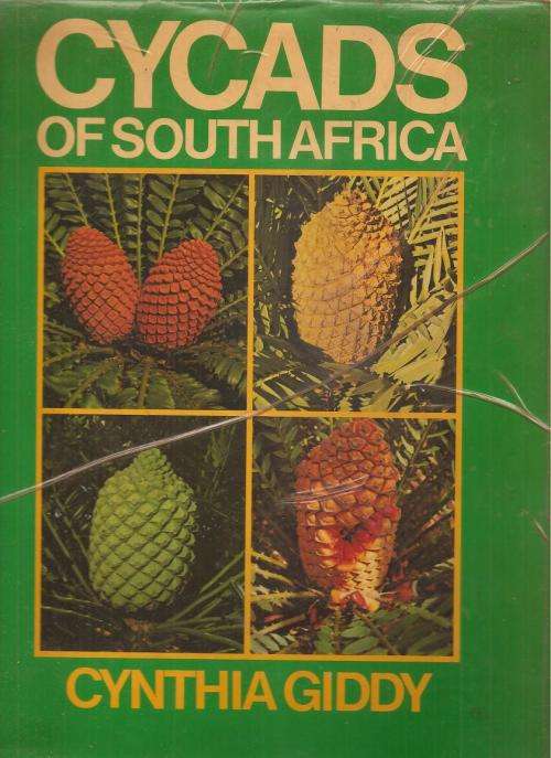 Cycads of South Africa  By: Cynthia Giddy