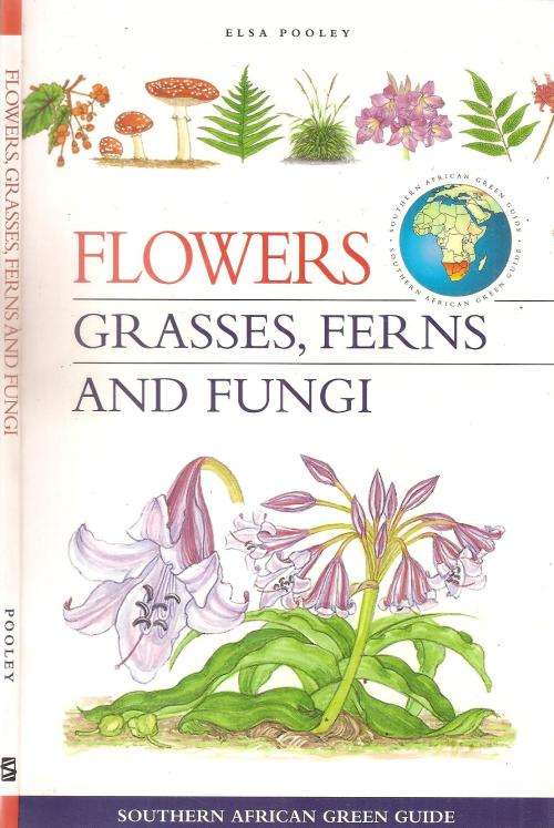 Flowers, Grasses, Ferns and Fungi By: Elsa Pooley