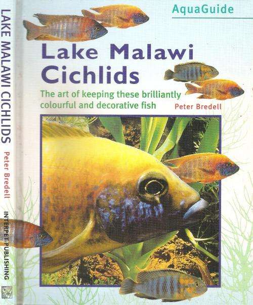 Lake Malawi Cichlids By: Peter Bredell
