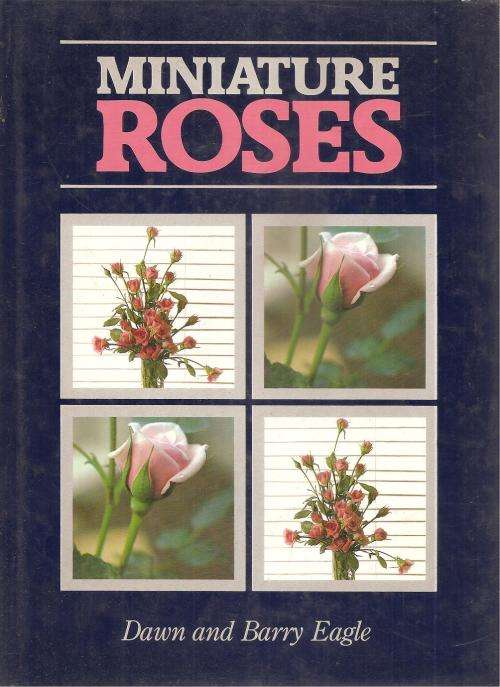 Miniature Roses  by: Dawn and Barry Eagle