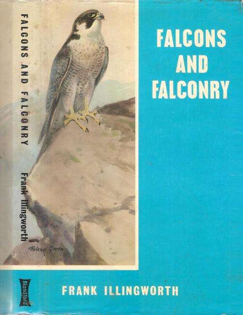 Falcons and Falconry  By: Frank Illingworth