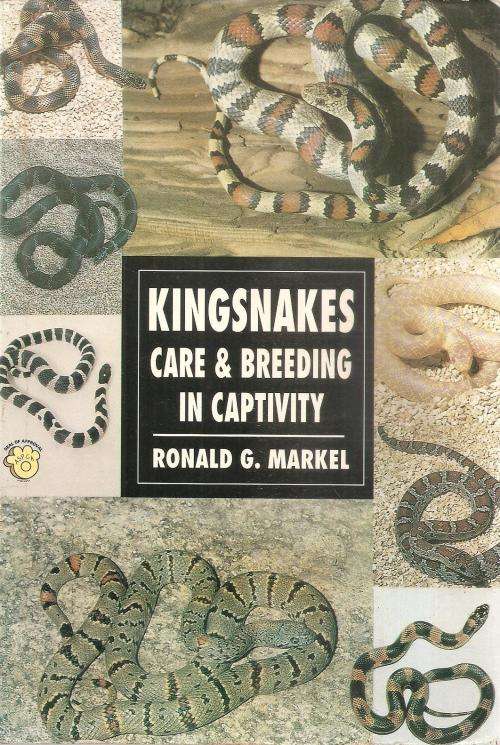 Kingsnakes Care & Breeding in Captivity  By: Ronald G. Markel
