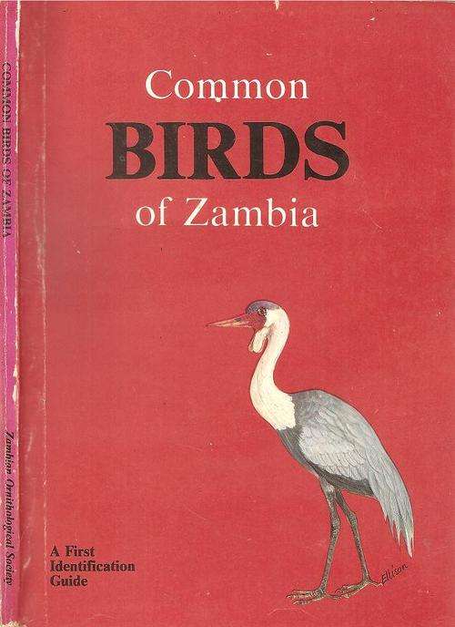 Common Birds of Zambia  By: Zambian Ornithological Society