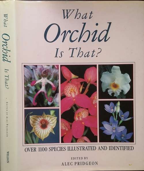What Orchid is That? over 1100 species illustrated and identified edited by Alec Pridgeon