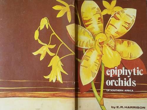 Epiphytic Orchids of Southern Africa by E R Harrison