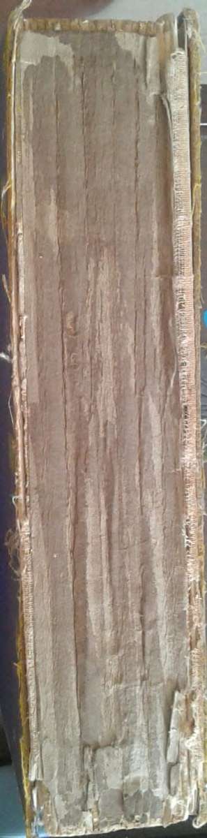 The Fairy Tales of Grimm & Andersen illustrated by Anne Anderson