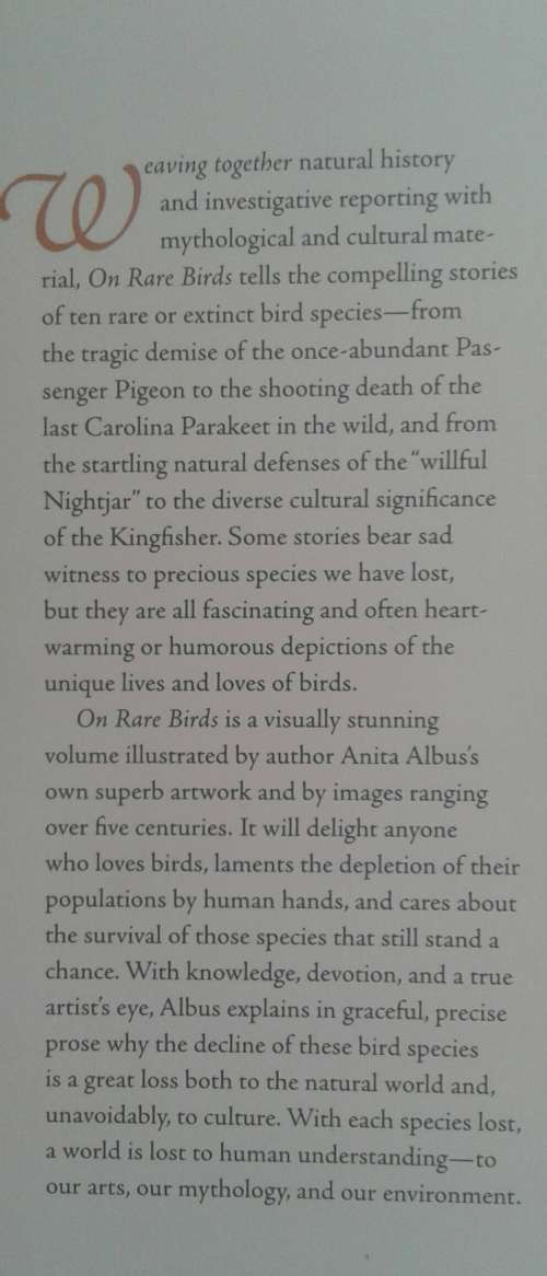 On Rare Birds by Anita Albus
