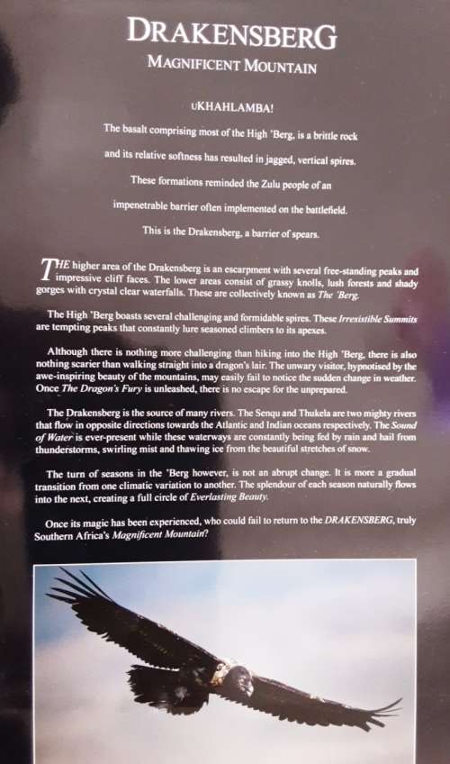 Drakensberg Magnificent Mountain by Erwin & Nicoleen Niemand & Edmund Salomons