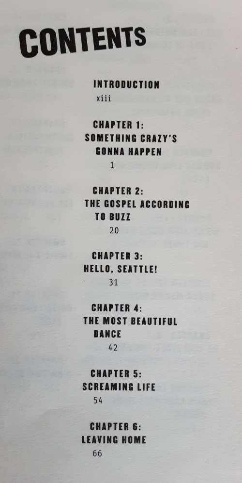 Everybody Loves Our Town, A History of Grunge by Mark Yarm