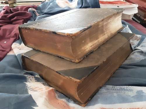 The Illustrated Family Bible  by John Kitto 1868, 2 Volmes, Leather Bound Spines Gold tipped Pages